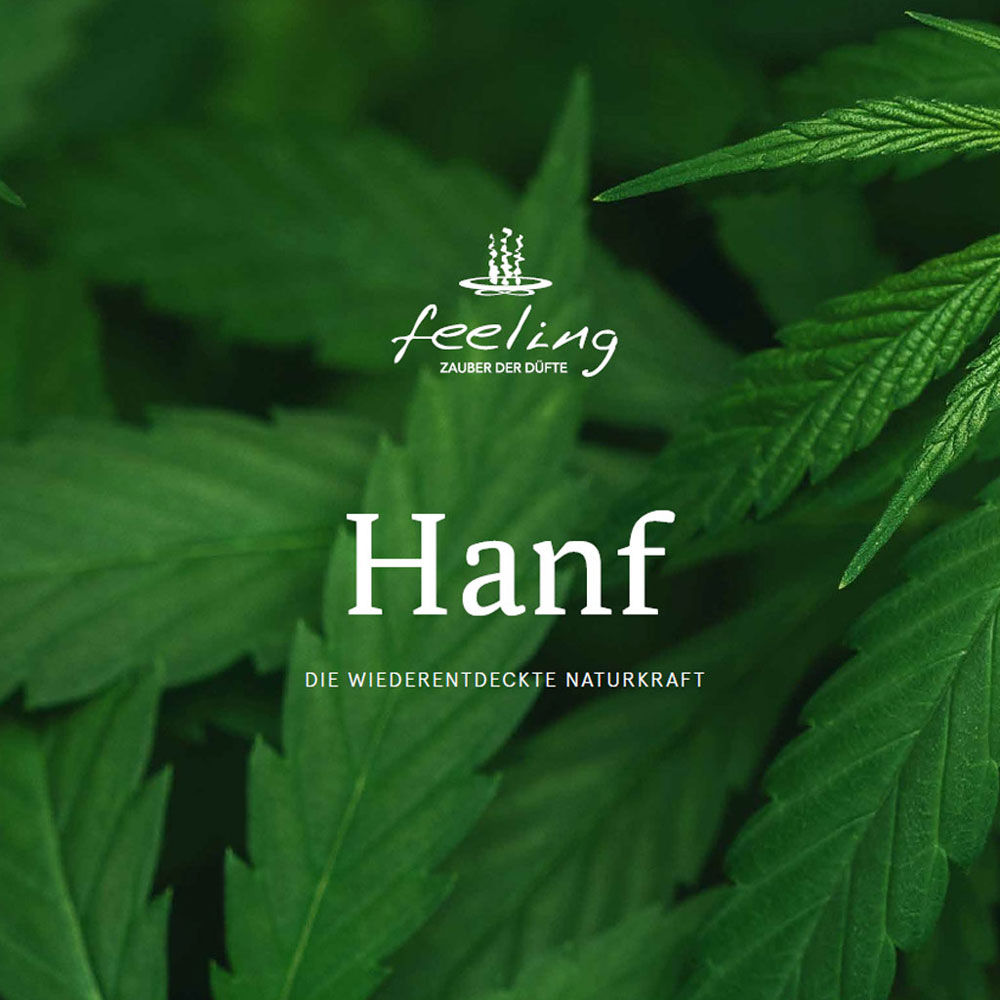 Folder Hanf Die wiederentdeckte Naturkraft