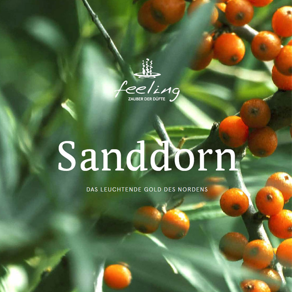 Folder Sanddorn
