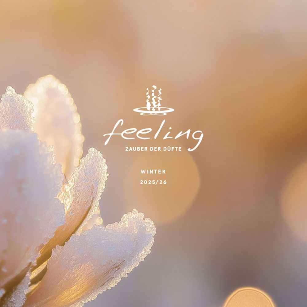 feeling Sommerfolder 2025